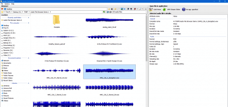 3delite Audio File Browser v1.0.8.46 v1.0.8.46 WiN